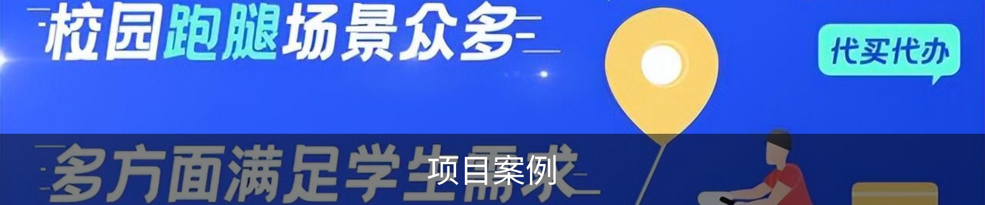 项目案例